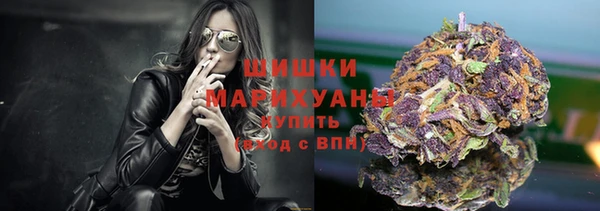 прущий лед Арсеньев