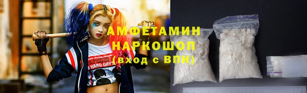 прущие грибы Абаза