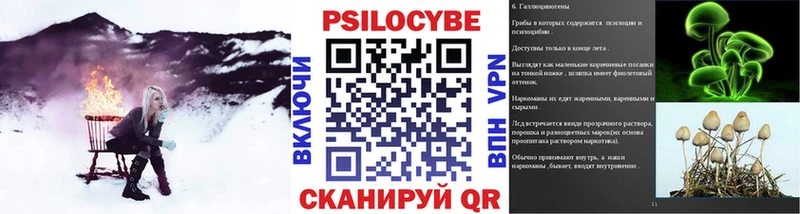 Псилоцибиновые грибы GOLDEN TEACHER  Миасс 