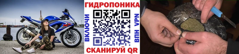 МАРИХУАНА SATIVA & INDICA  гидра зеркало  Миасс 